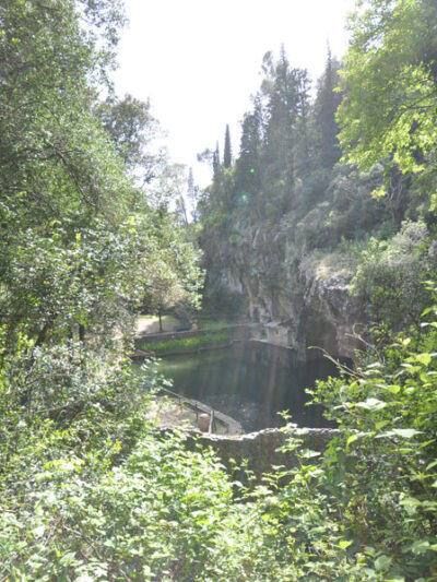 Botanic Garden 7 vista-laghetto-regina