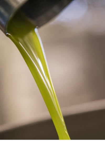 Homepage 12 Olio dal frantoio