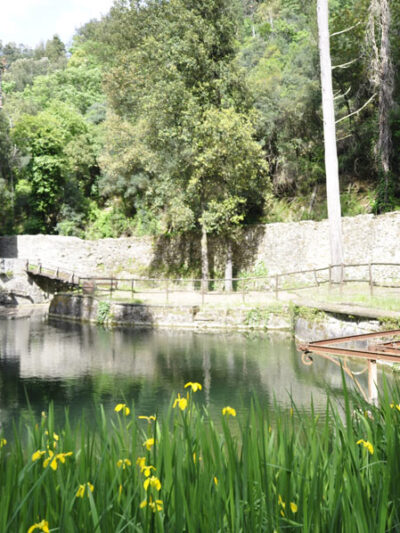 Gruppi scolastici 10 laghetto-in-primavera
