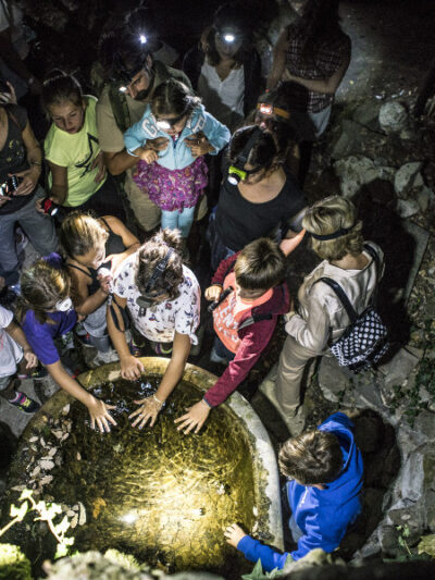 Compleanni 7 trekking notturno 2