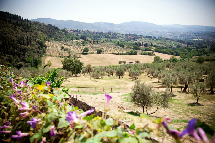 Ospitalità 3 panorama