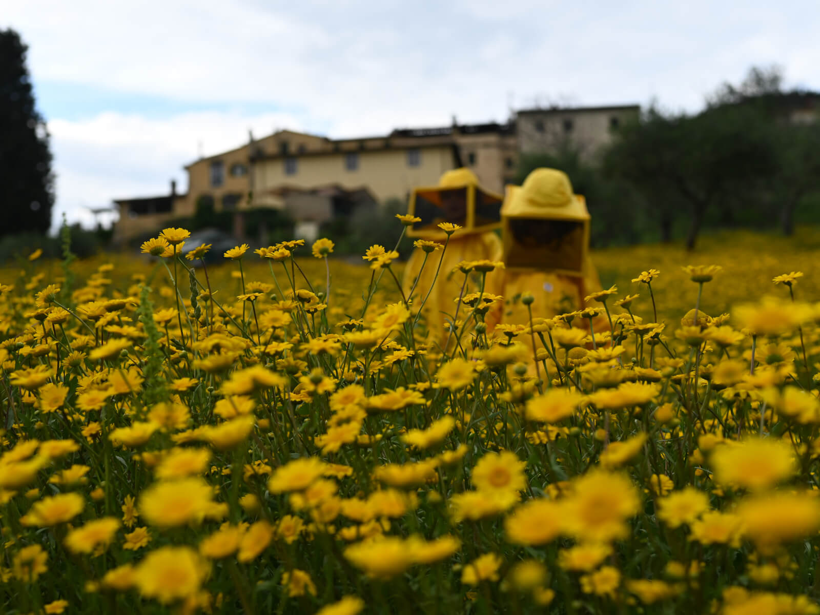 attivita in fattoria_esperienze-all-aria-aperta