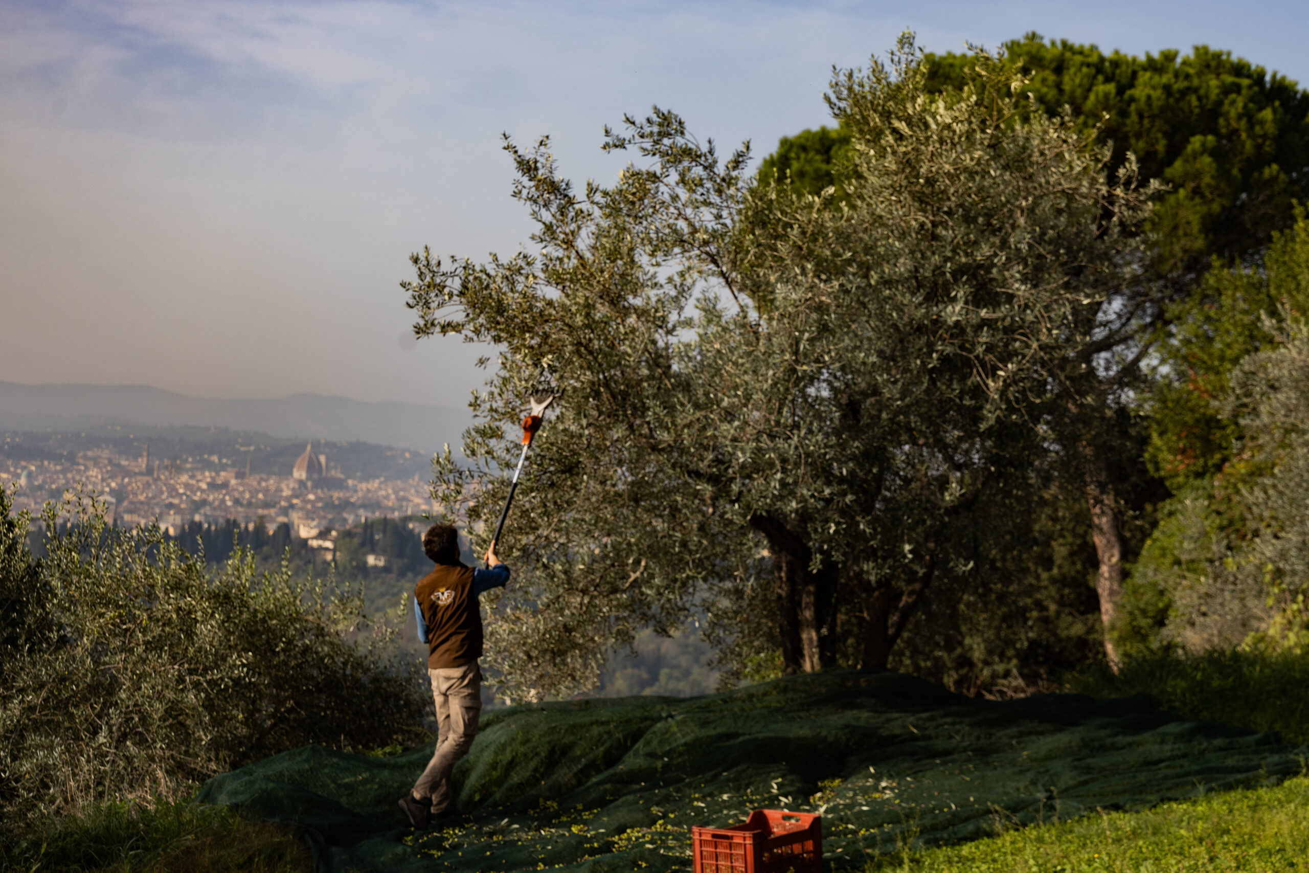 Laudemio Fattoria di Maiano premiato al NYIOOC 2023 1 7A4A4979 scaled