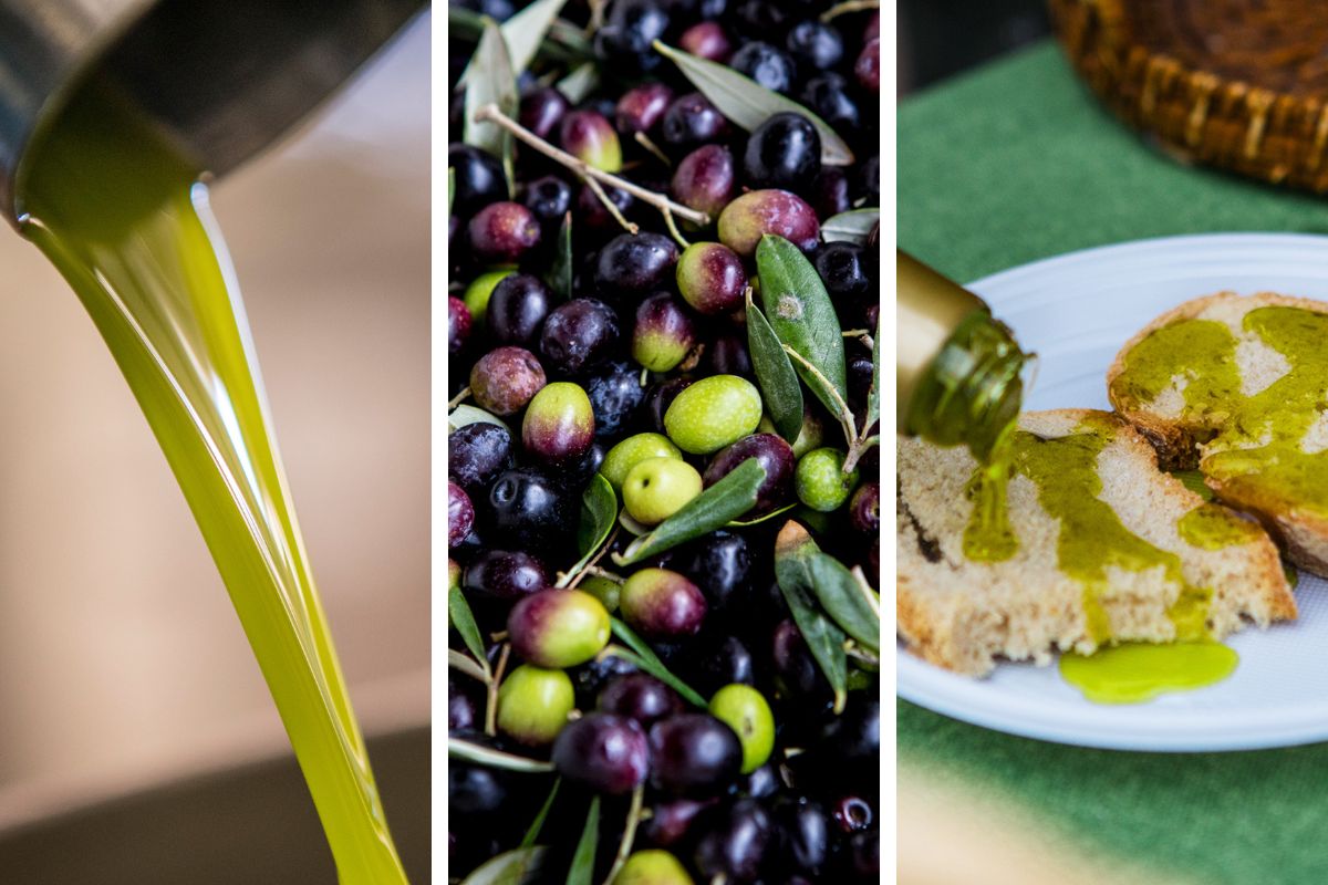 1 Novembre: Giornata dell'Olio Nuovo 1 1 novembre festa olio nuovo 02