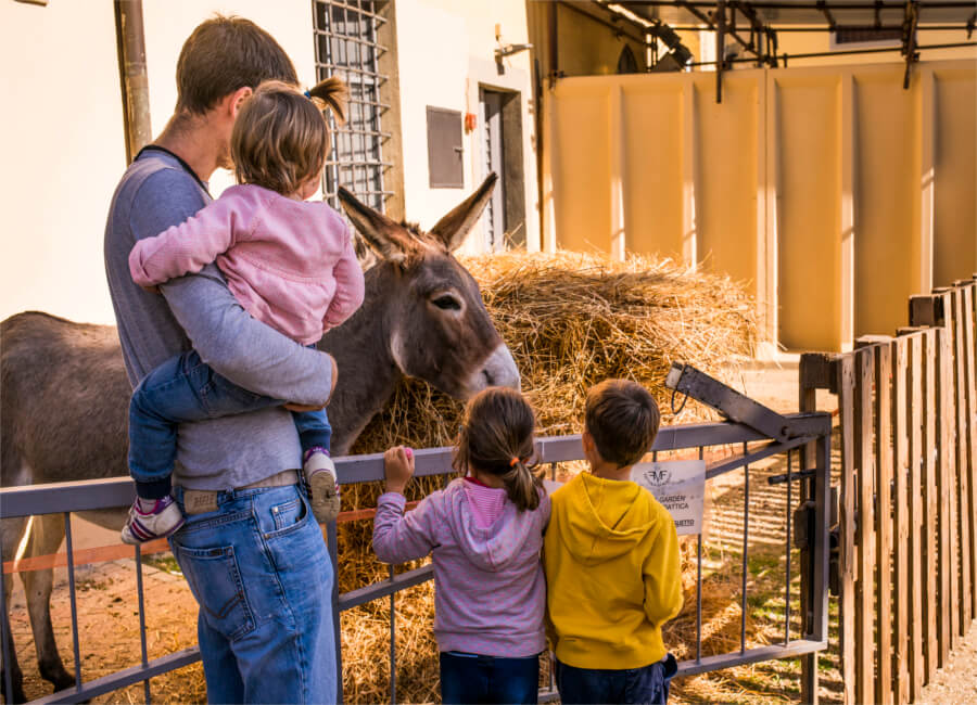 Fattoria per bambini: attività educative e a contatto con la natura 1 fattoria didattica famiglia asinello fattoria di maiano