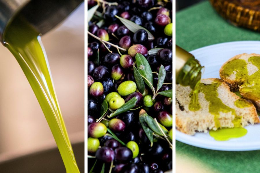 fattoria di maiano taste firenze 2024