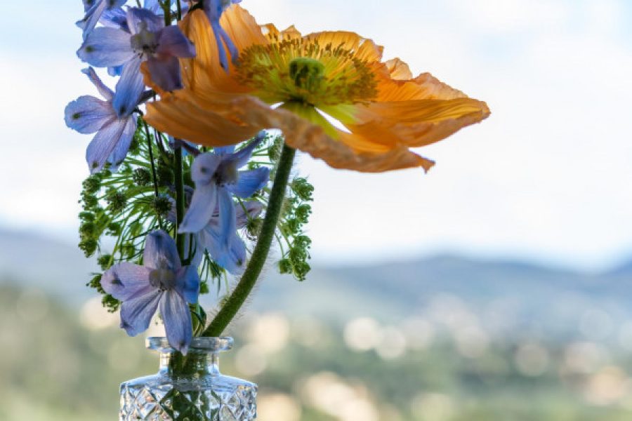 pasqua in fattoria 2026